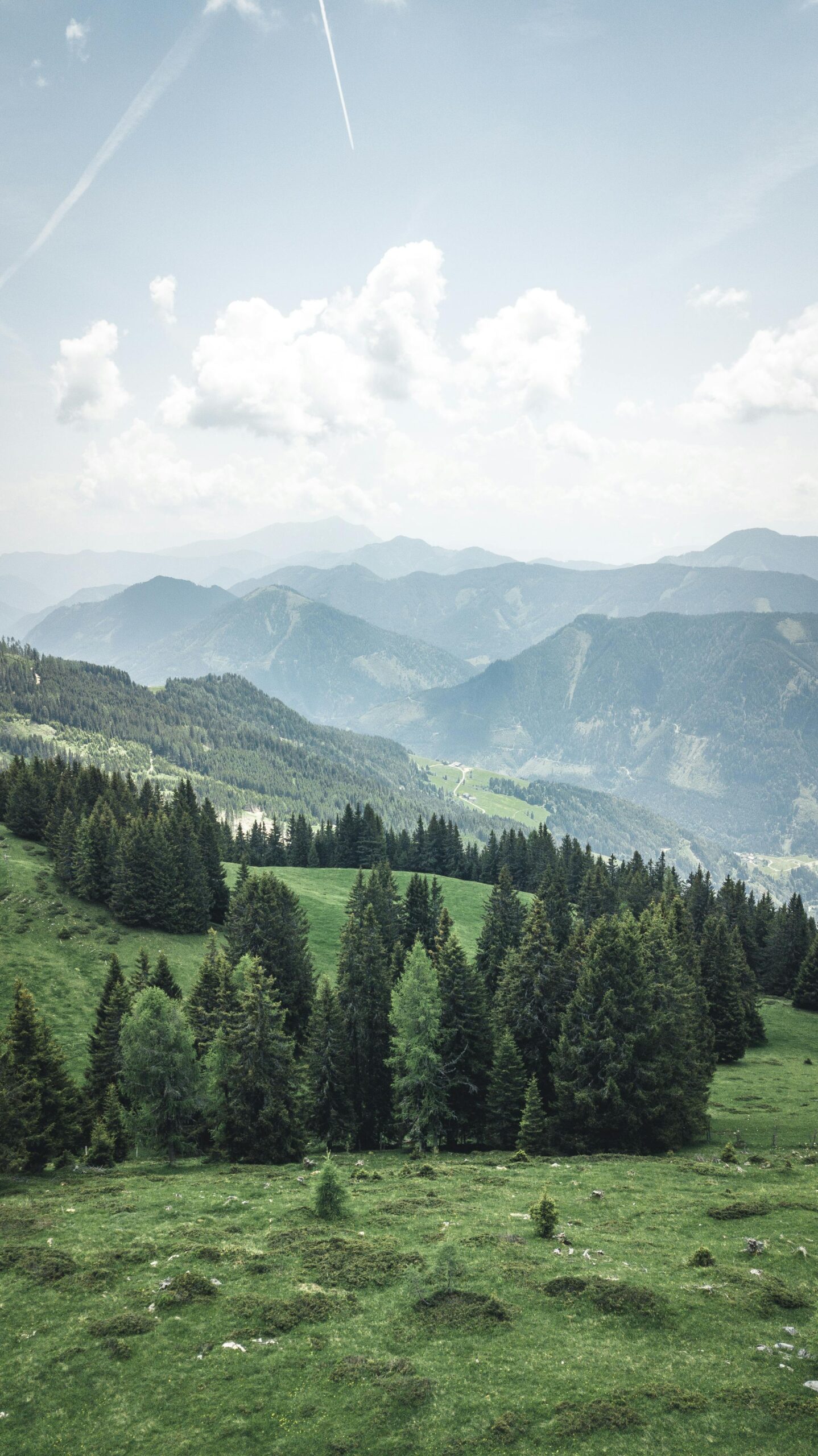 Peaceful alpine forest view with mountains and clear sky in Austria.
